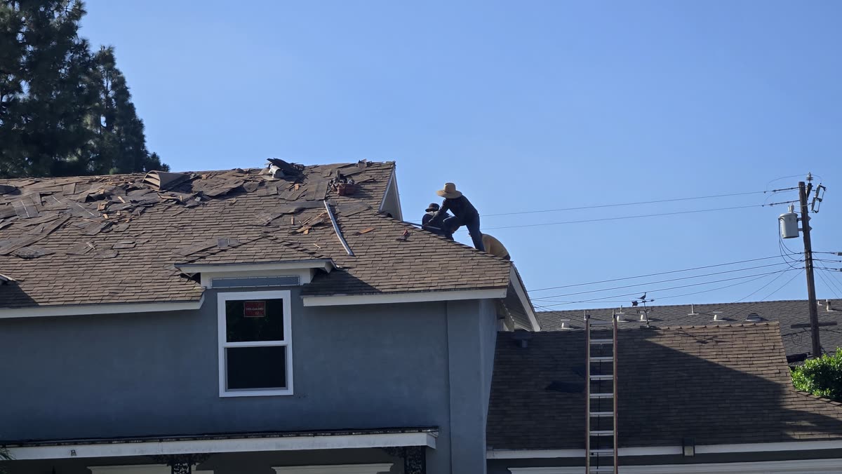 Roofers removing old shingles on a two-story house