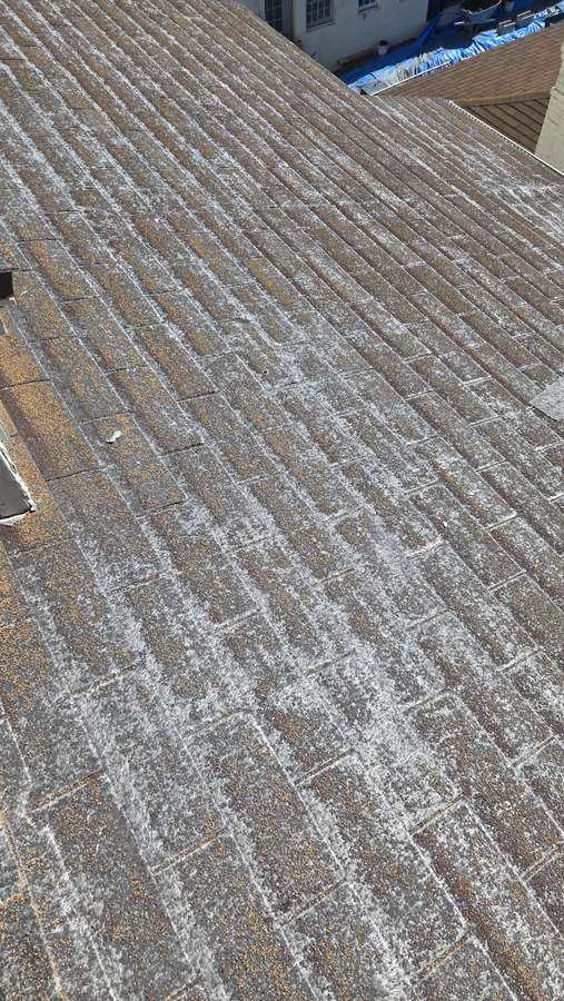 Roof inspection on a Los Angeles multi-unit building: worn, chalky asphalt shingles due for replacement